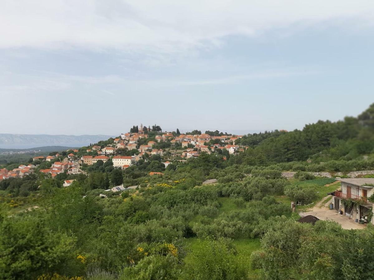 Kuca Za Odmor Dobrila Hotel Jelsa  Buitenkant foto